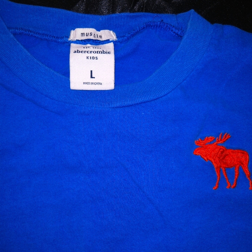 Abercrombie Long Sleeve Logo Kids Youth Large